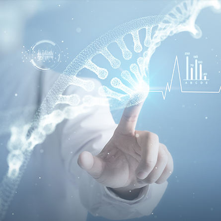 6008集团官方网站